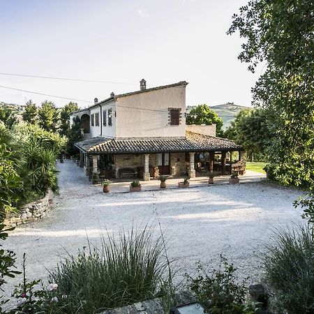 Agriturismo Col Morino Bed & Breakfast Pineto Ngoại thất bức ảnh