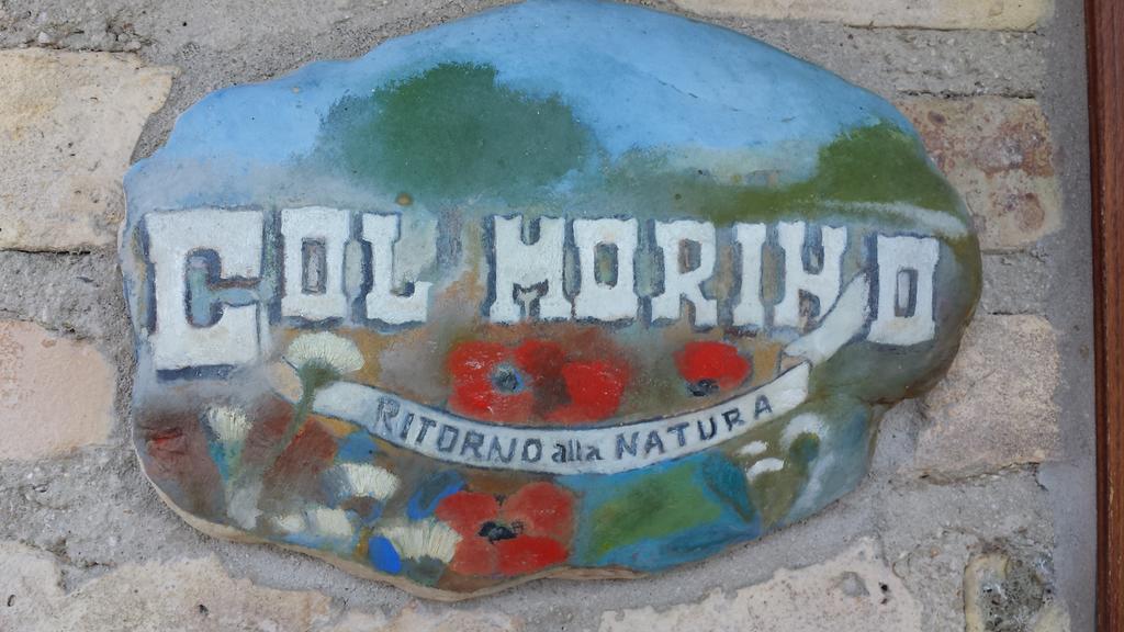 Agriturismo Col Morino Bed & Breakfast Pineto Ngoại thất bức ảnh