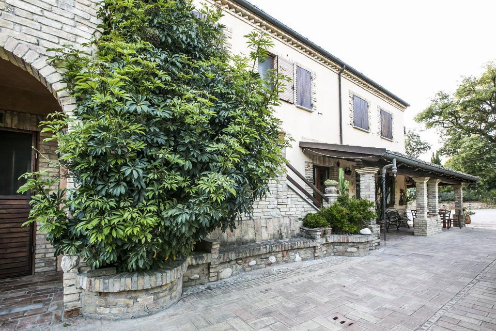 Agriturismo Col Morino Bed & Breakfast Pineto Ngoại thất bức ảnh