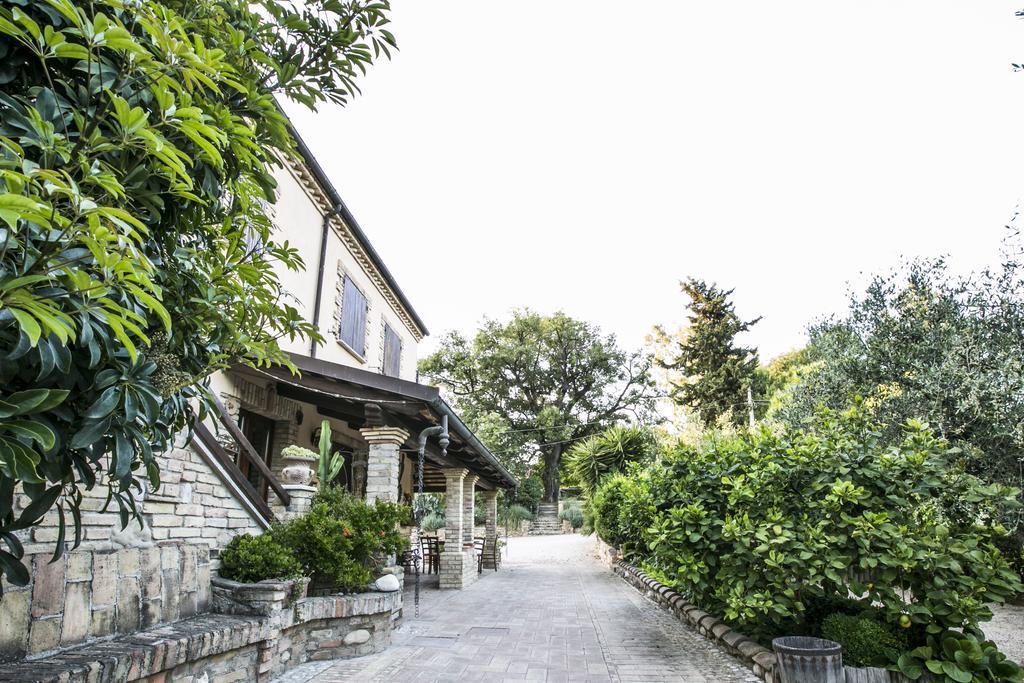 Agriturismo Col Morino Bed & Breakfast Pineto Ngoại thất bức ảnh
